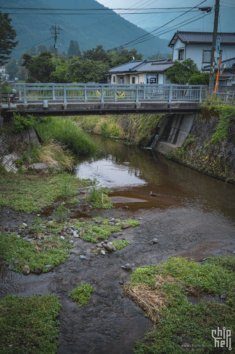 L1006734.jpg