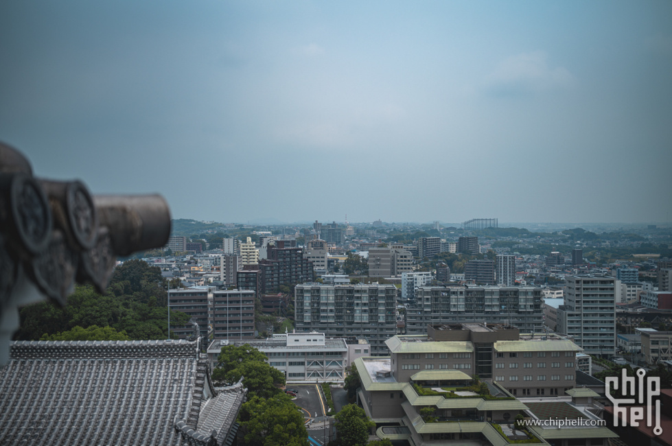 L1006825.jpg