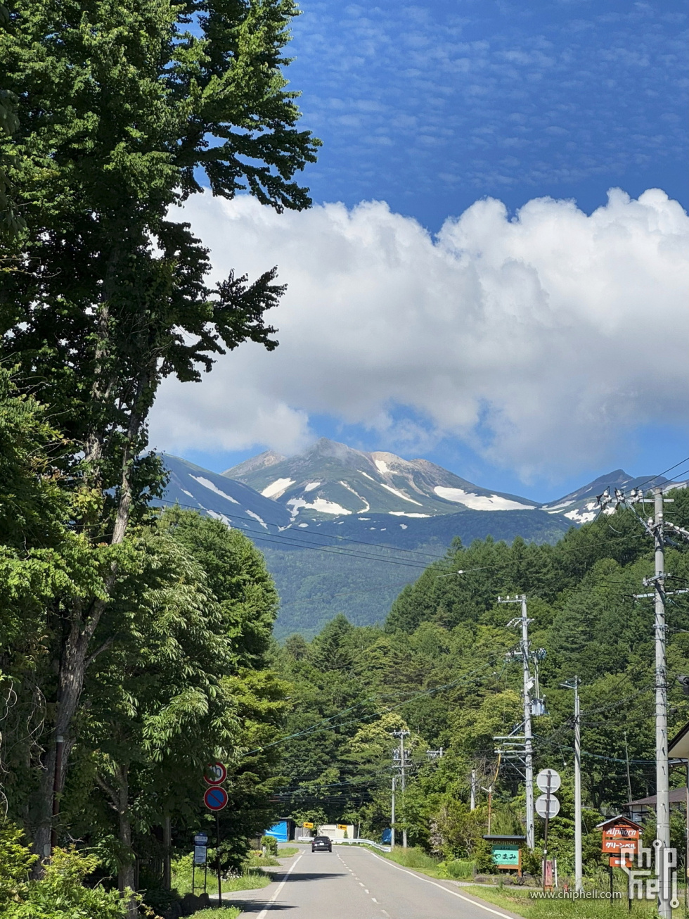 IMG_4463.jpg
