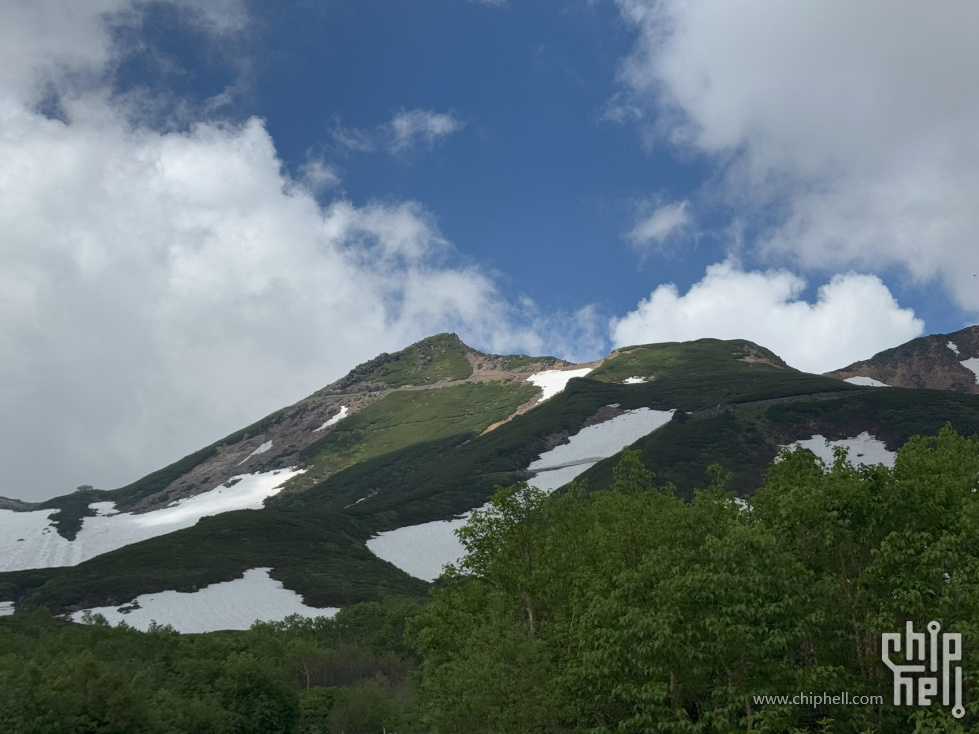 IMG_4531.jpg