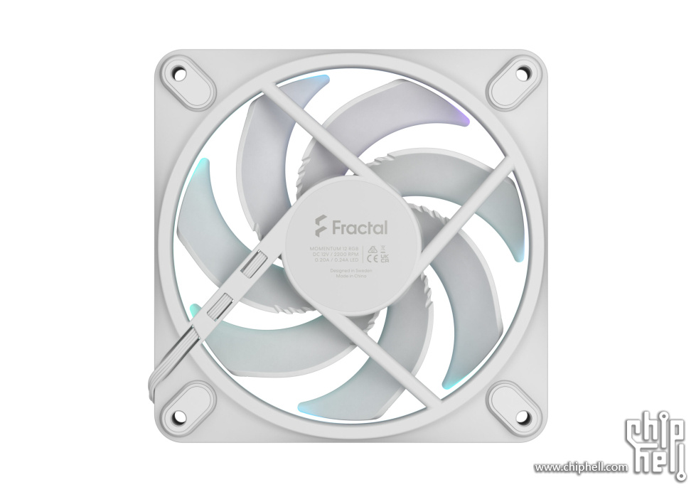 Momentum-12_RGB_White_Back_45403d-scaled.jpg