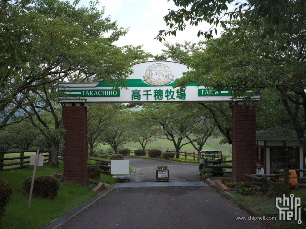 aa1a65dd4a5e27e0785d8a1545deb9c7.jpg