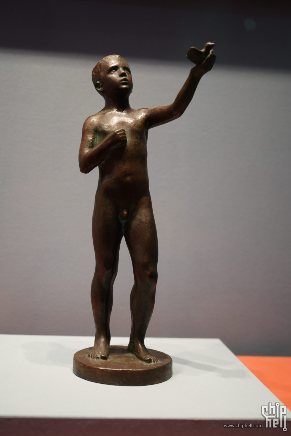 DSC08145.jpg