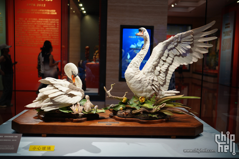 DSC08176(1).JPG