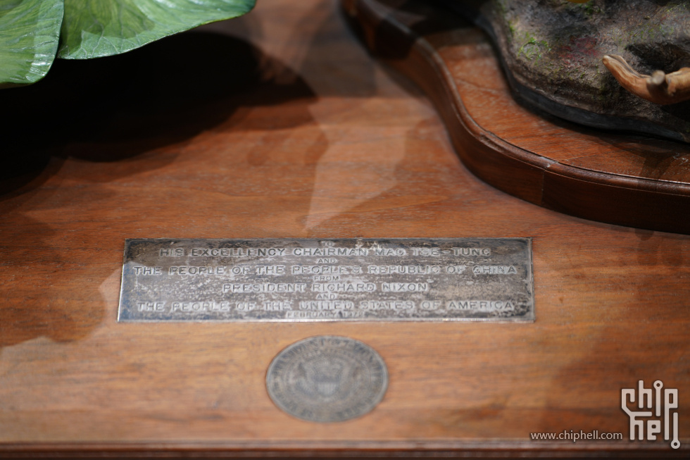 DSC08182(1).JPG