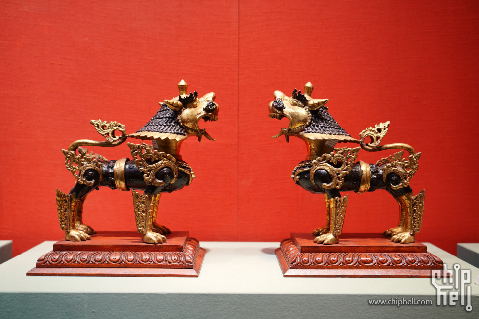 DSC08317(1).JPG