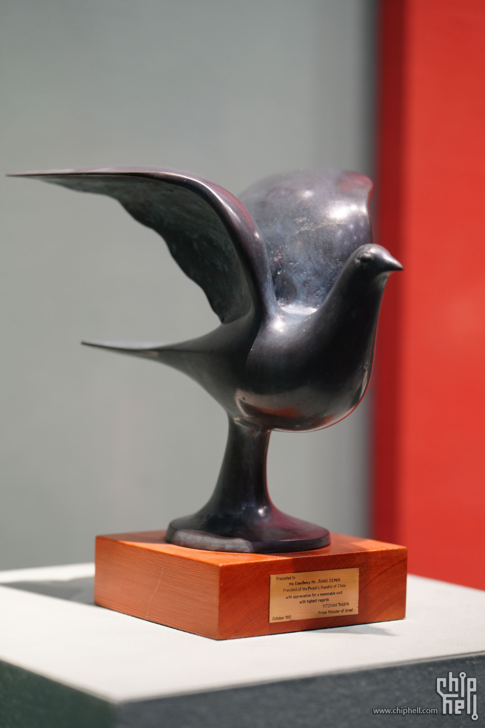 DSC08331.jpg