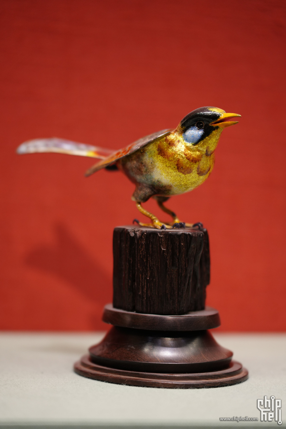 DSC08394.jpg