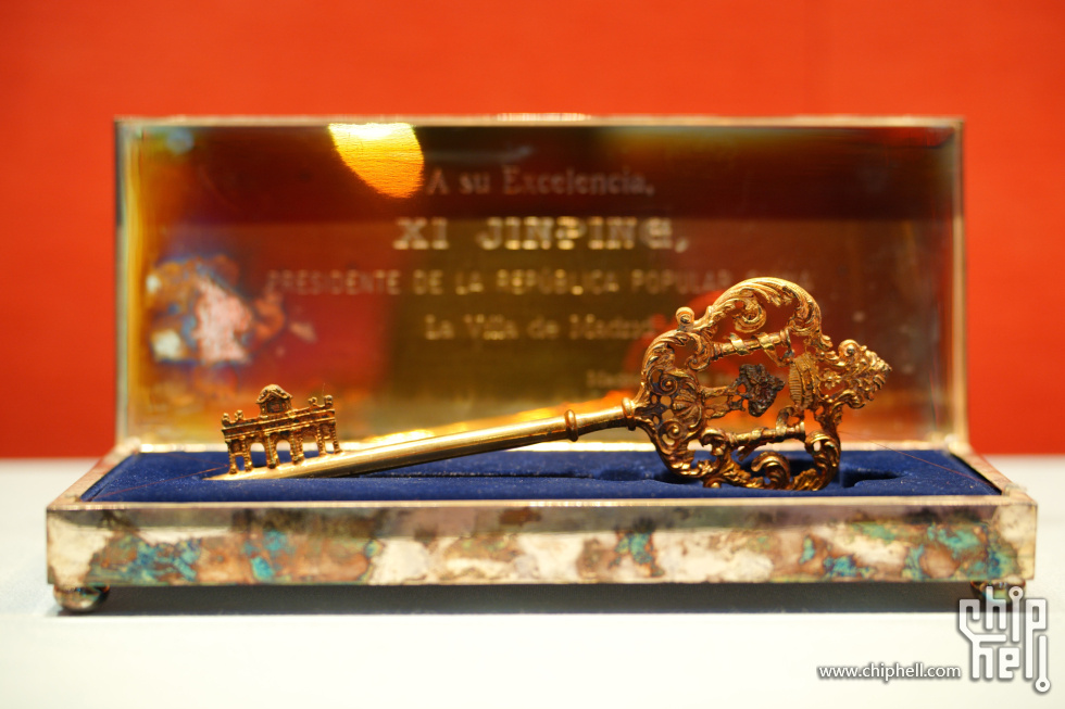 DSC08536(1).JPG