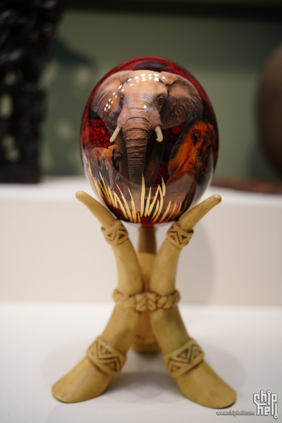 DSC08694.jpg