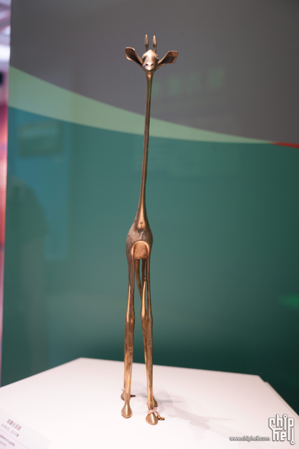DSC08699.jpg