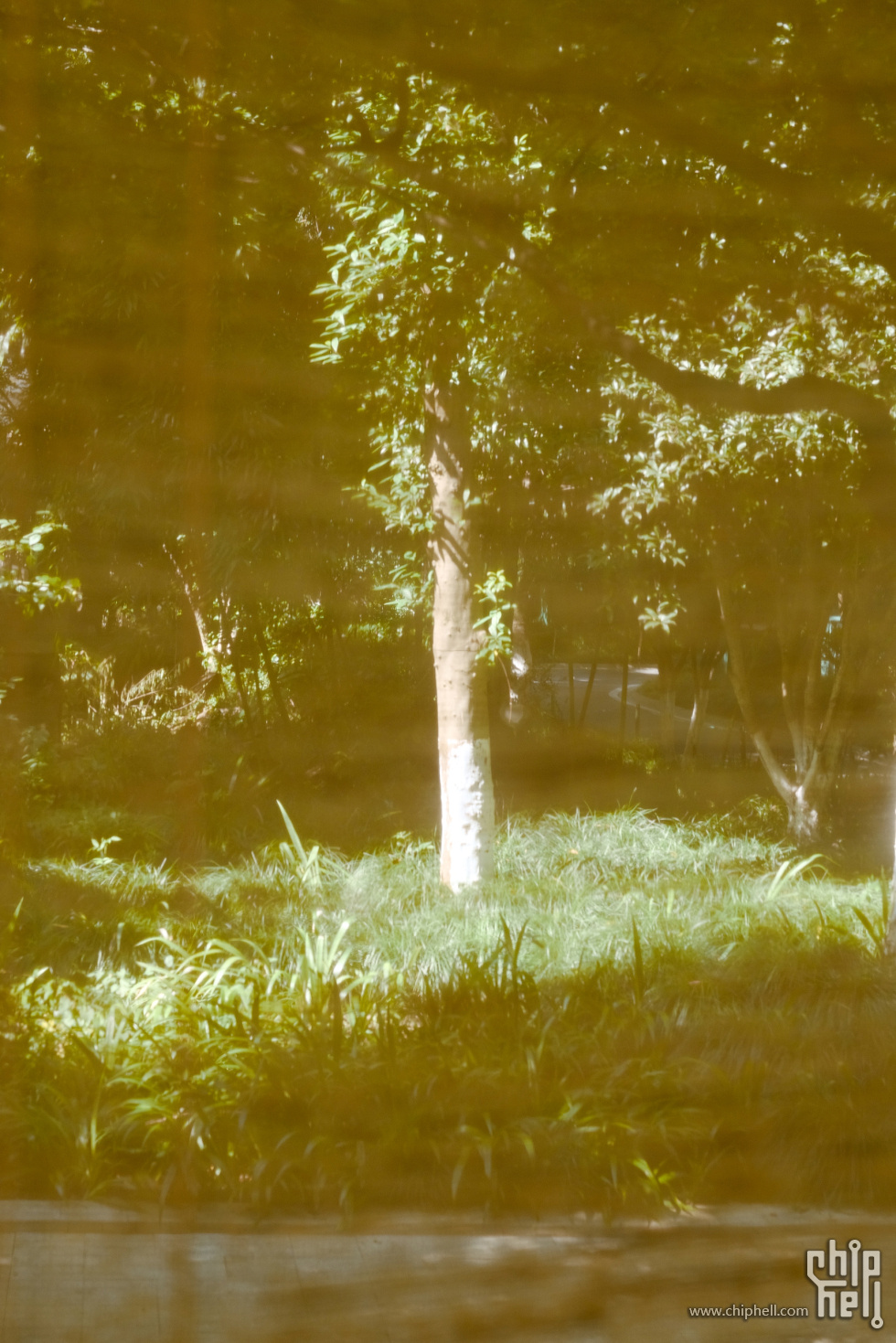 BF_00261.jpg