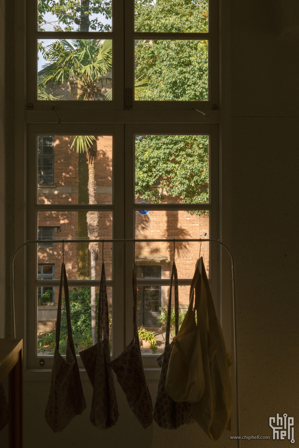 BF_01441.jpg