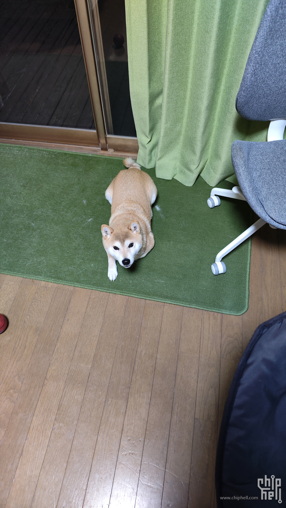 MVIMG_20250205_210516.jpg