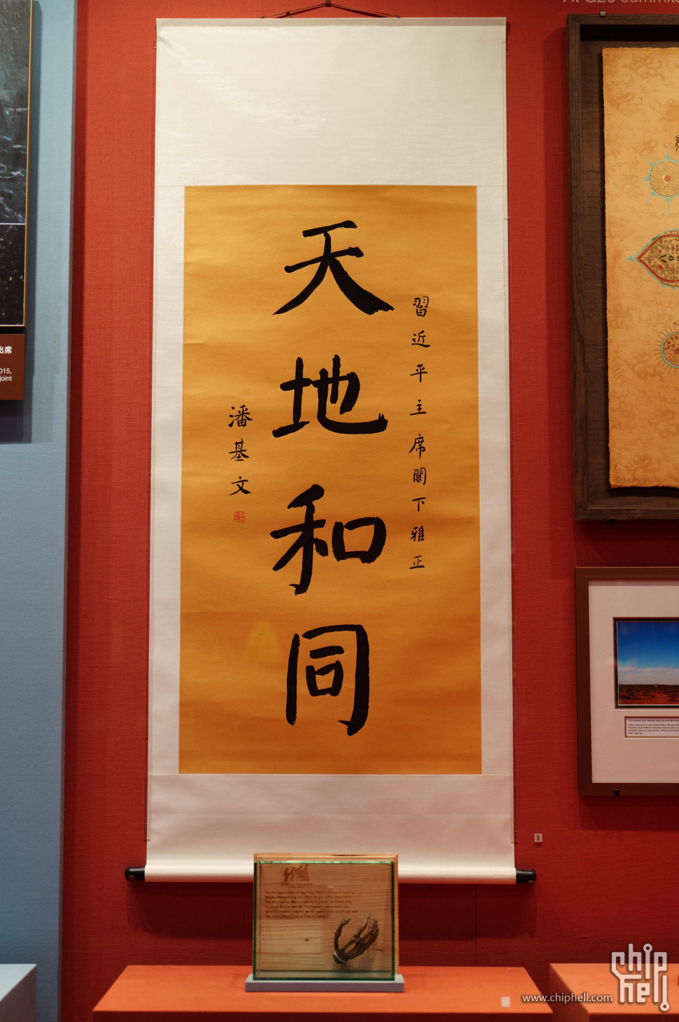 DSC08607.jpg