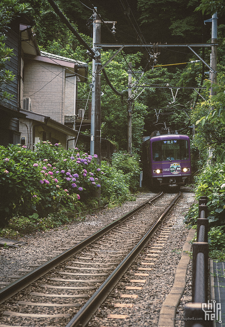 DSC_9017’.jpg