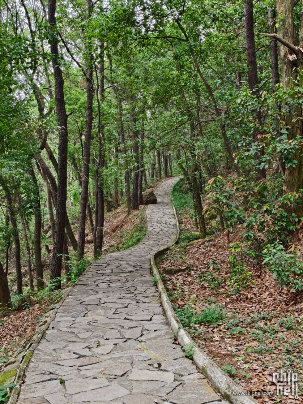 2-鹅鼻嘴公园 (11).jpg
