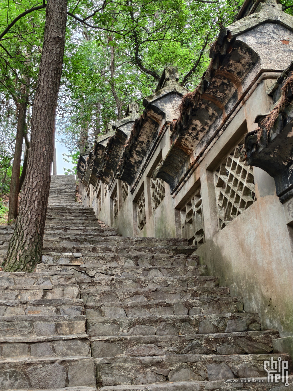 2-鹅鼻嘴公园 (19).jpg