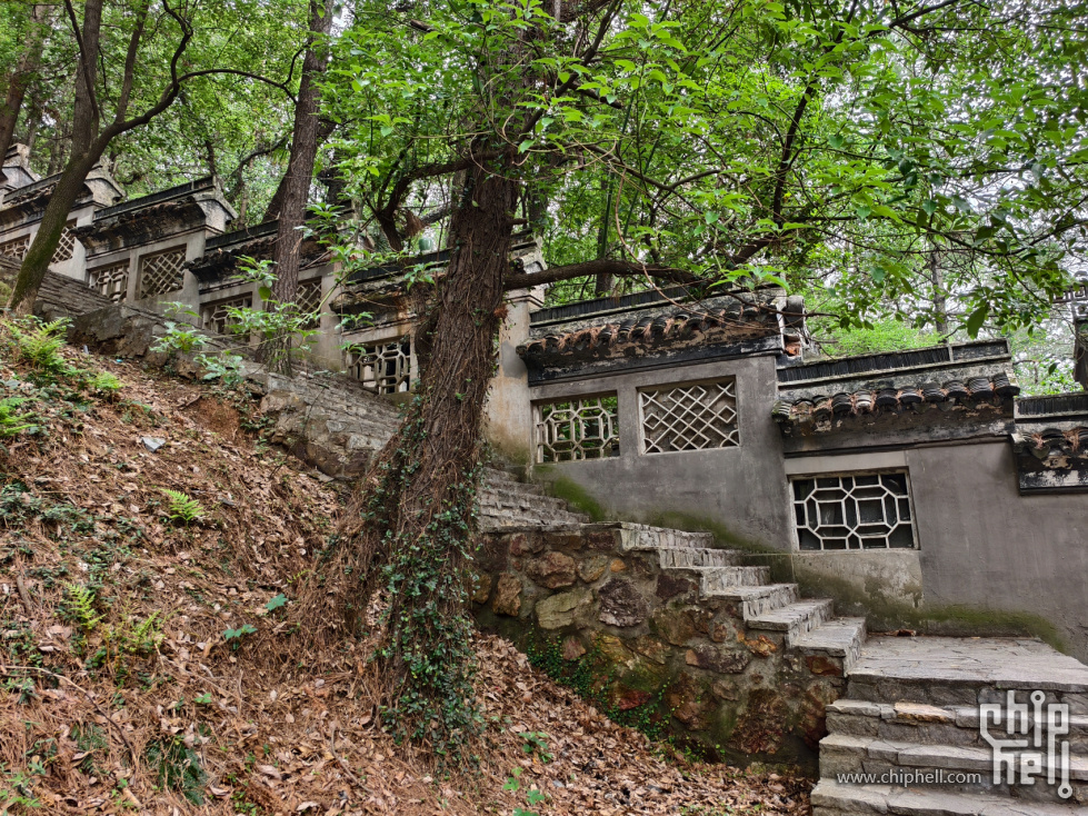 2-鹅鼻嘴公园 (20).jpg