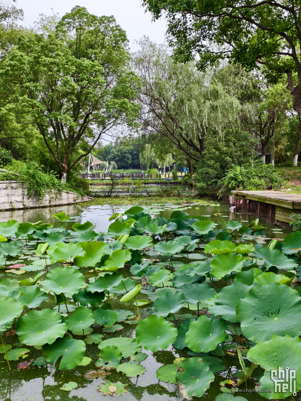3-黄山湖公园(4).jpg