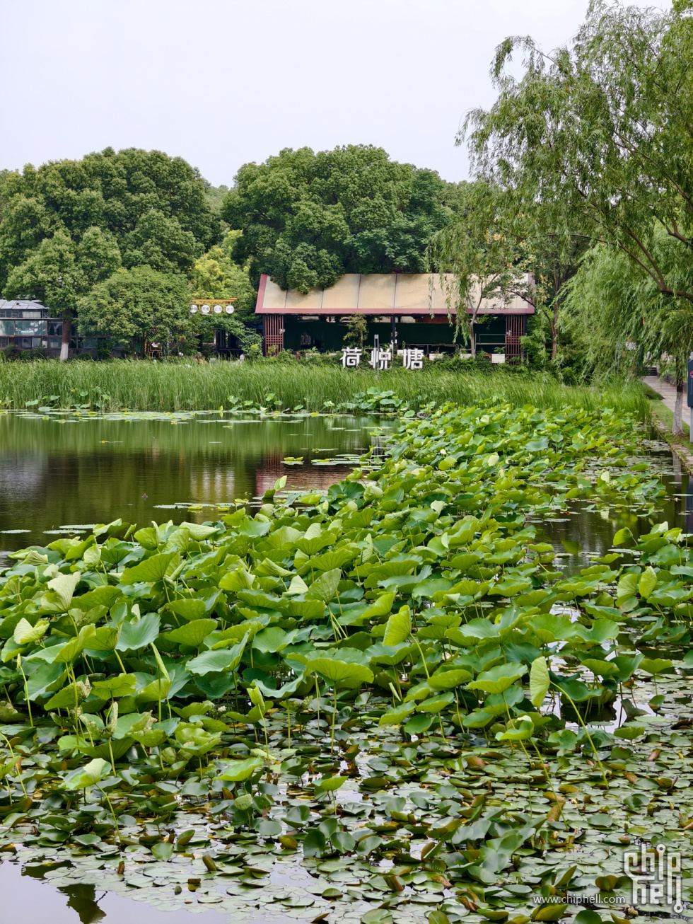 3-黄山湖公园(5).jpg