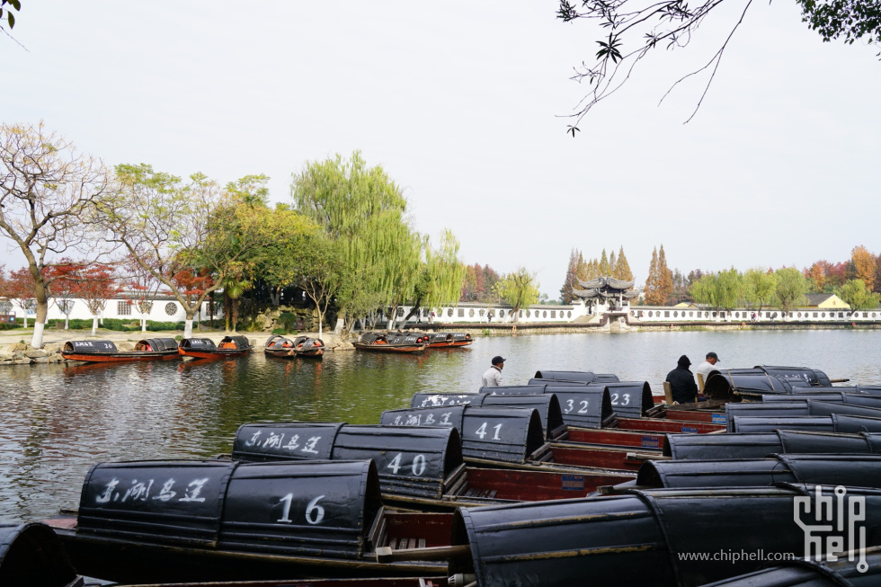 DSC05987_1.JPG_compressed.JPEG