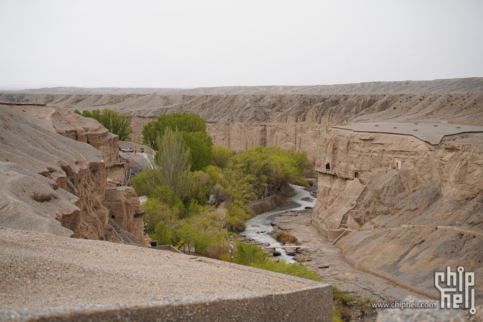 2025May-5.jpg