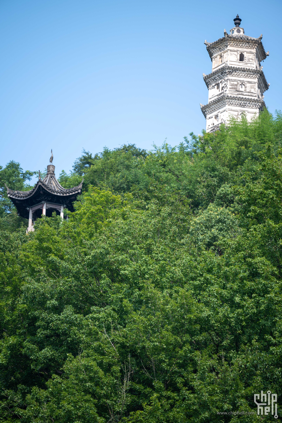 DSC_1434.jpg