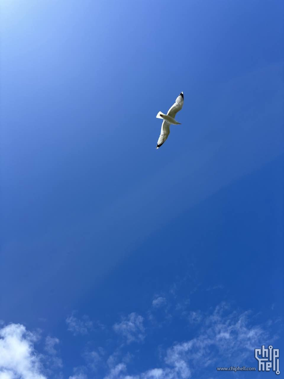 15.jpg