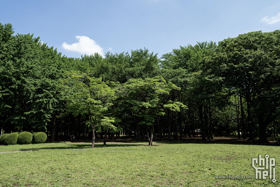 2025May-105.jpg