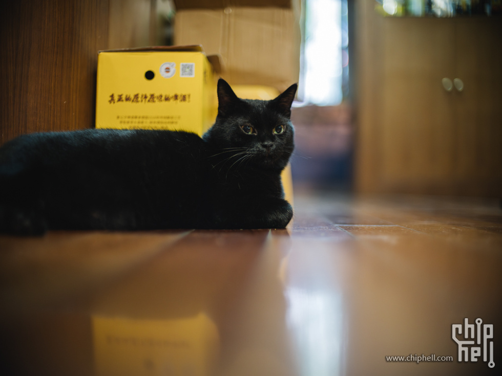 DSCF2838.jpg