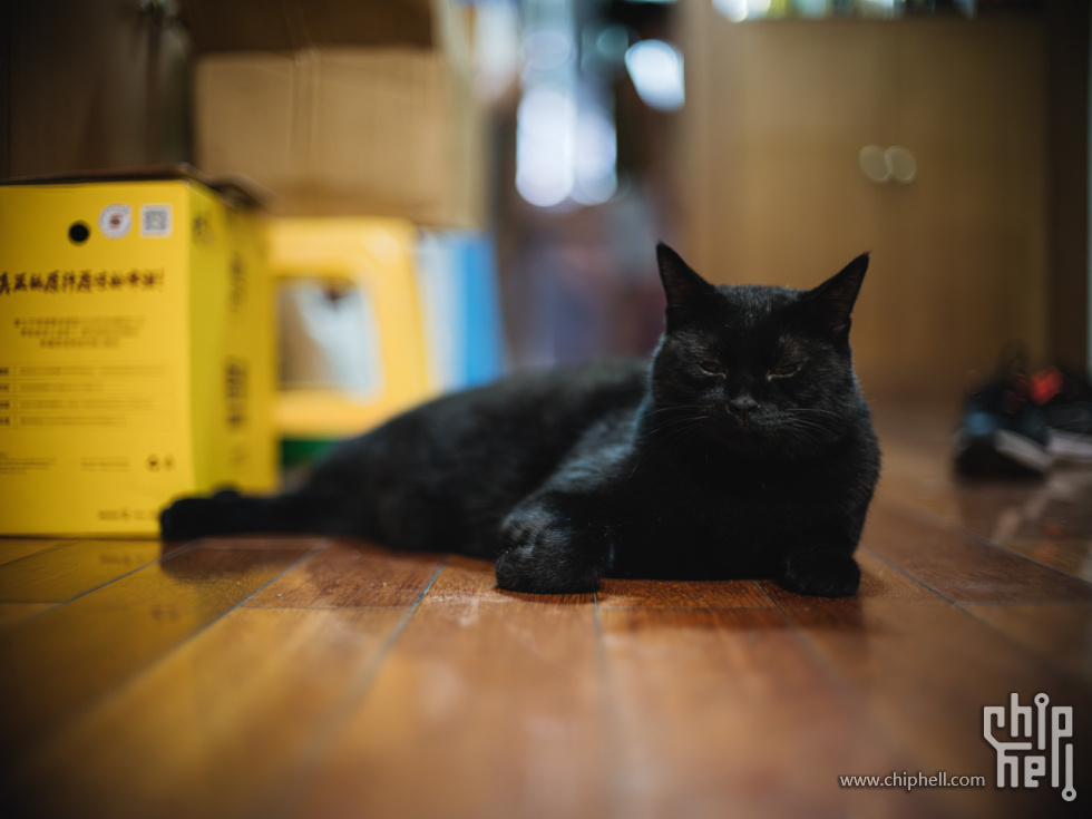 DSCF2851.jpg