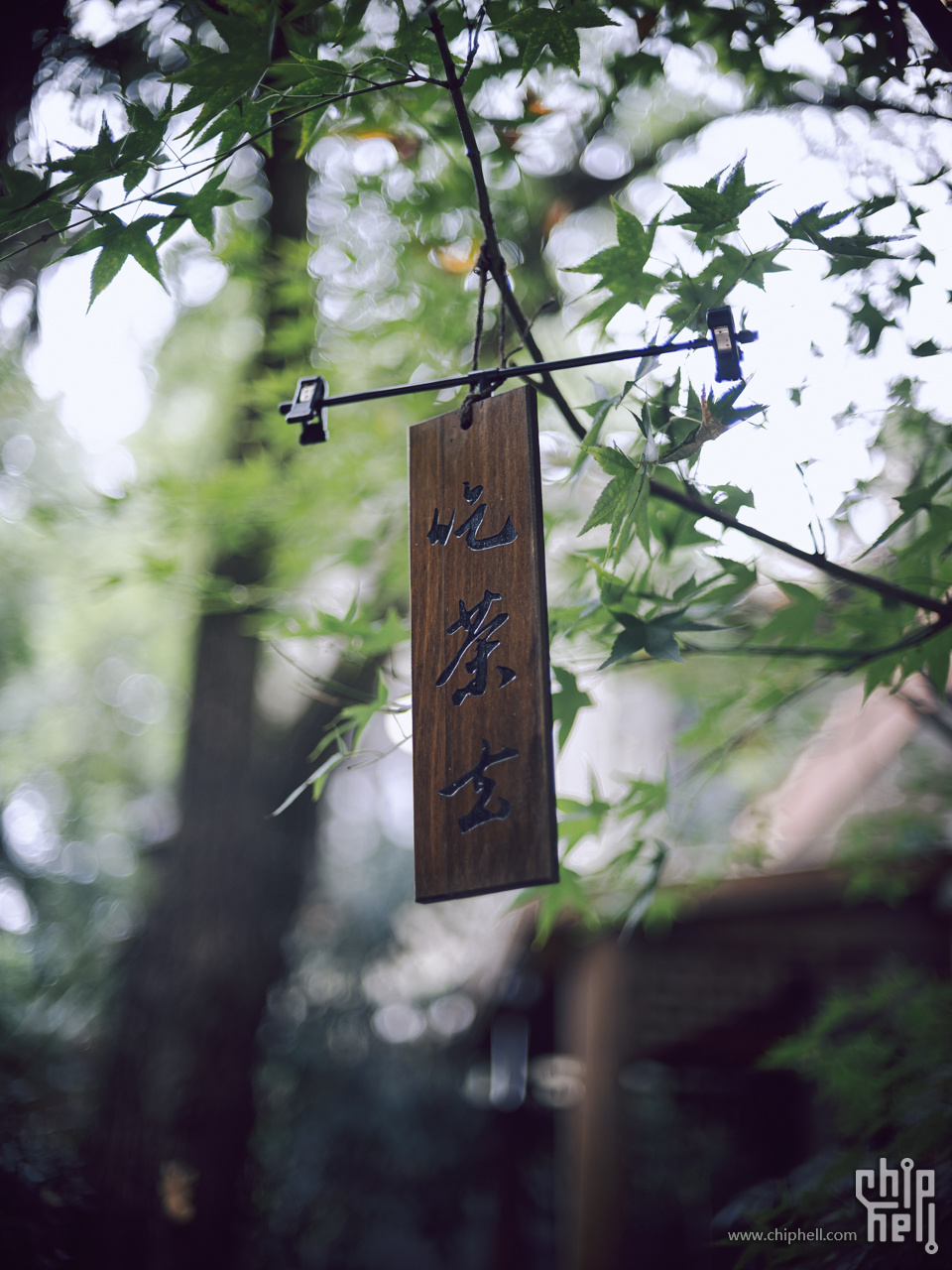 DSCF3247.jpg