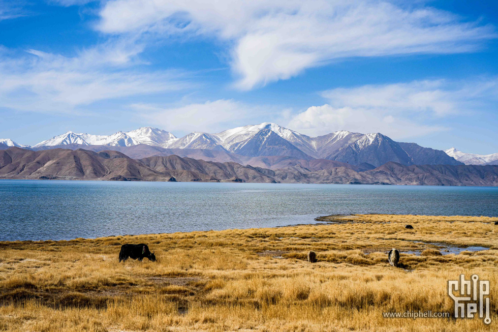 40班公湖南岸雪山2-2.jpg