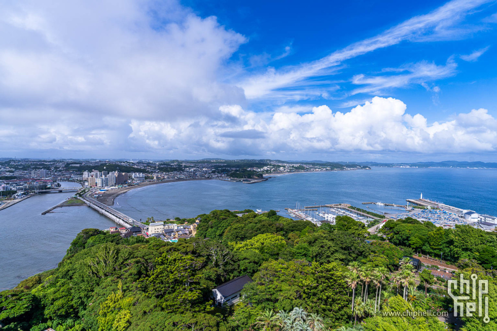 20250625-_A7C9225.jpg
