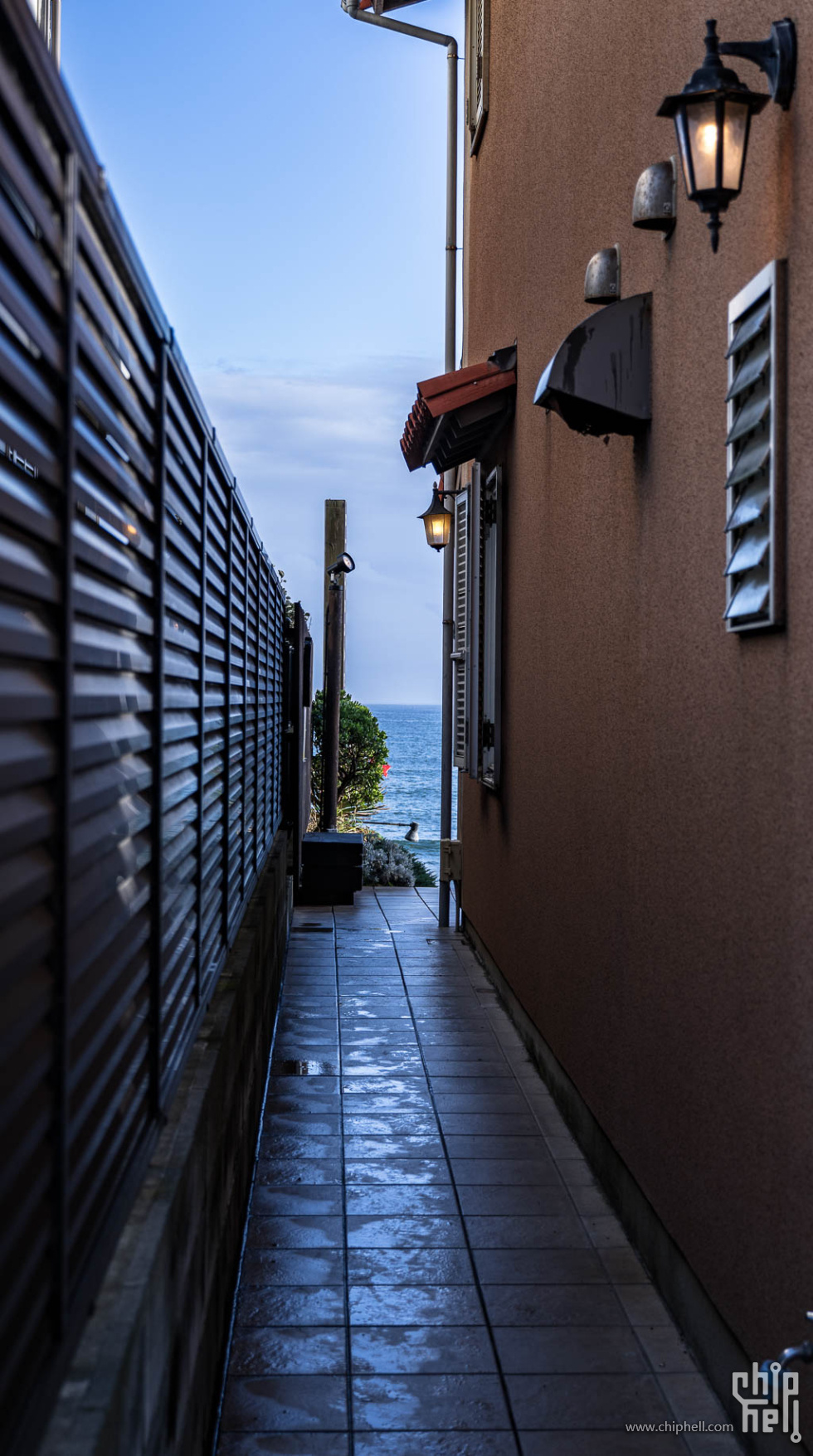 20250625-_A7C9480.jpg
