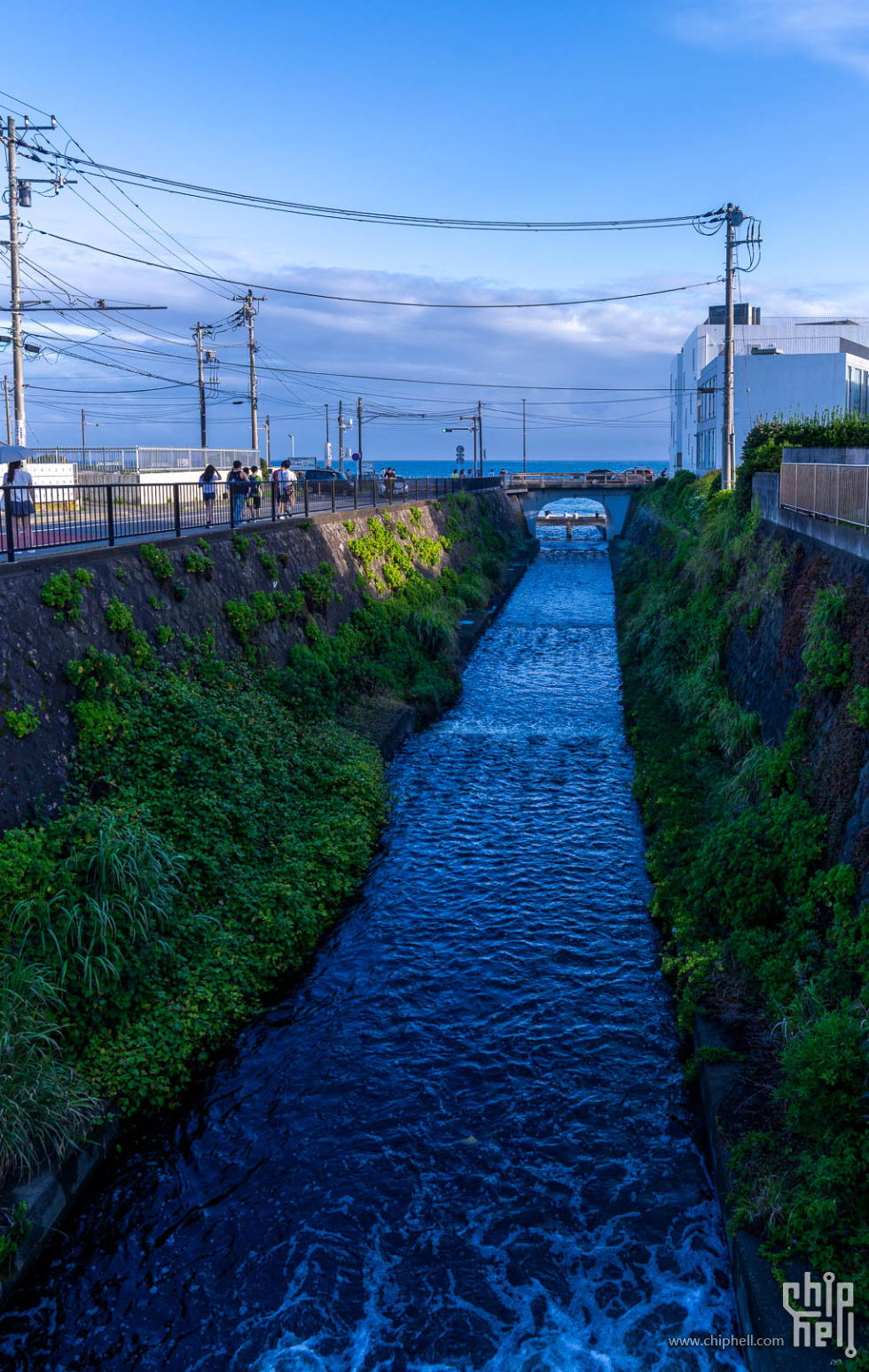 20250625-_A7C9487.jpg