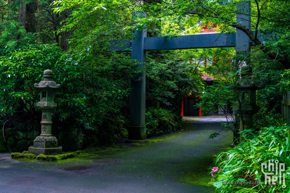 20250626-_A7C9520.jpg