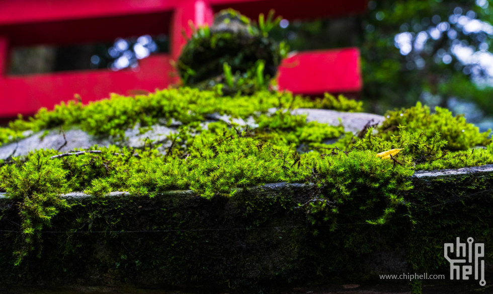 20250626-_A7C9525.jpg