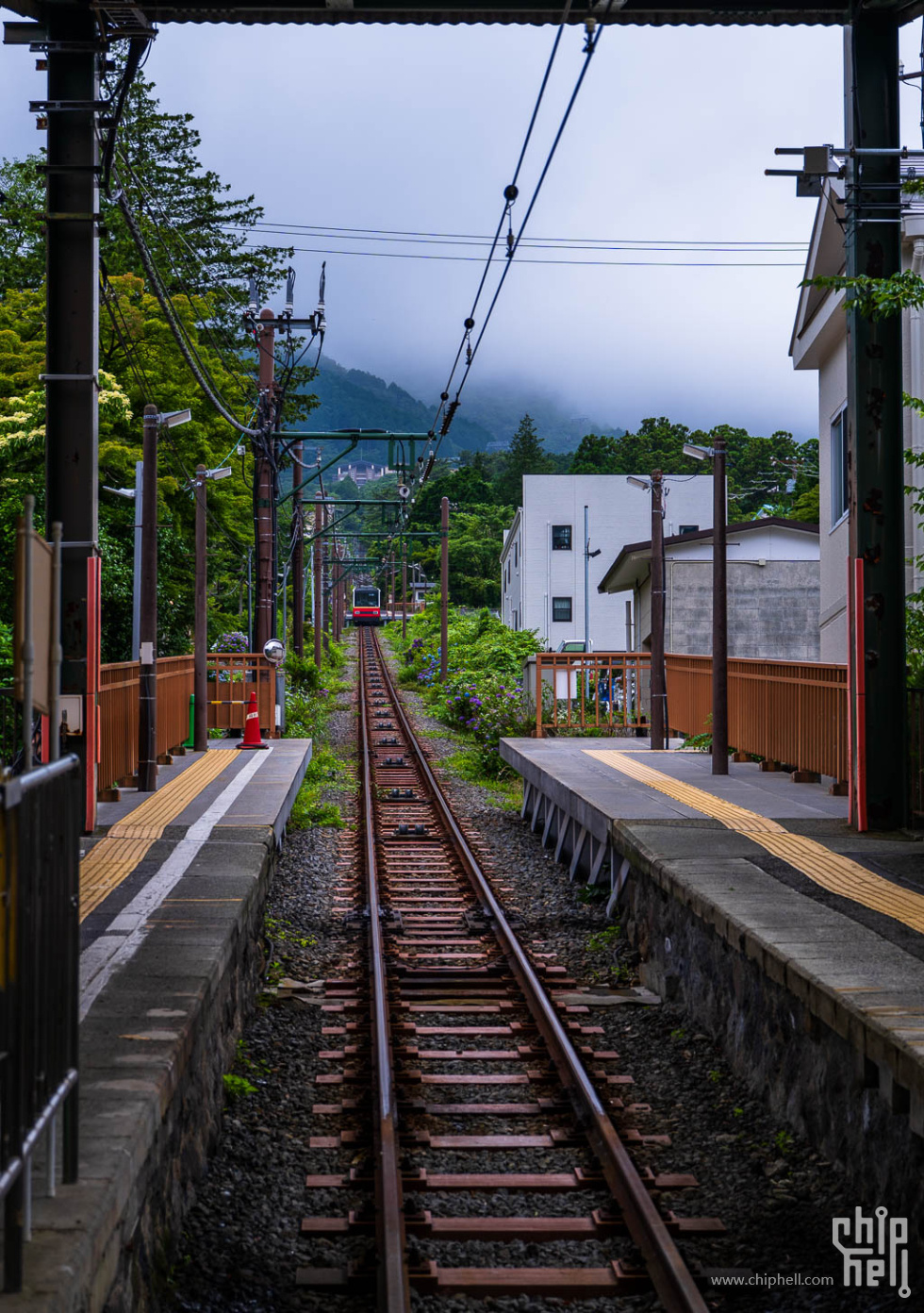 20250626-_A7C9596.jpg