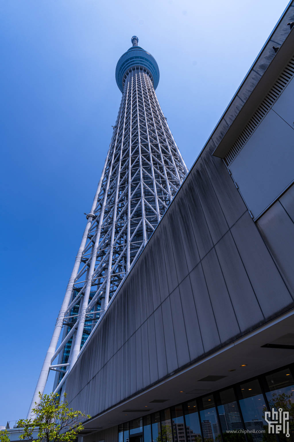 20250629-_A7C0578.jpg