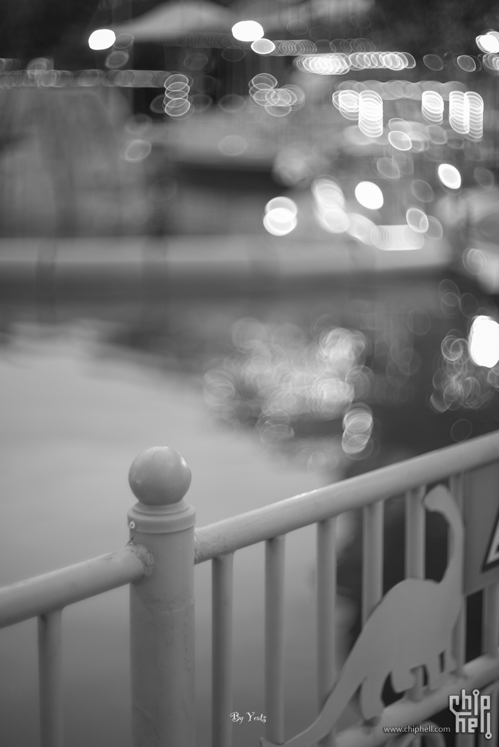 L1005982.jpg