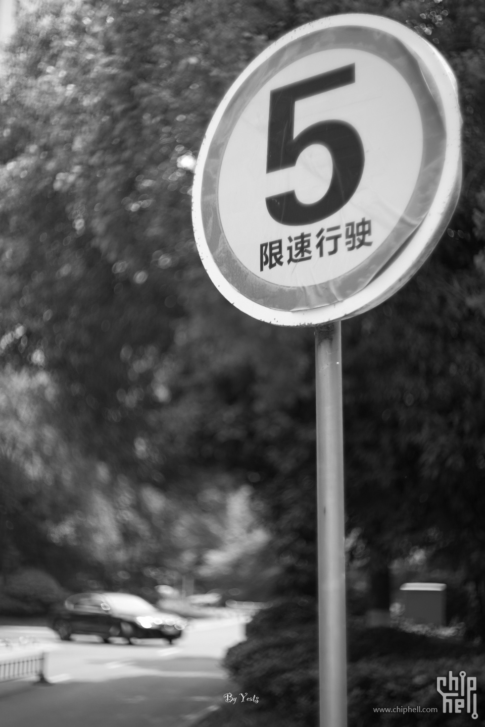 L1005853.jpg