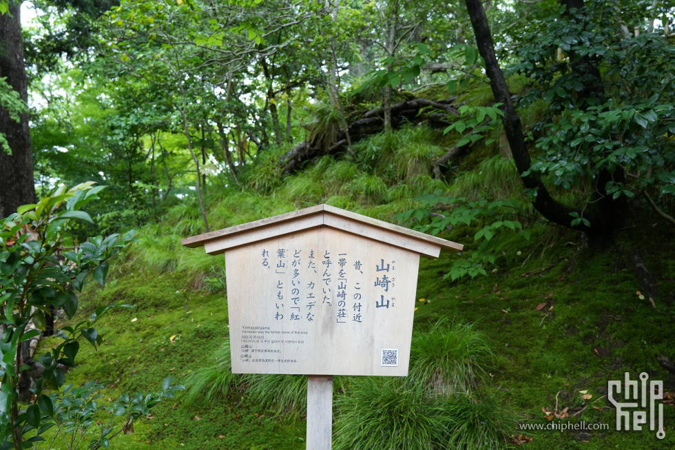 DSC00494-min.JPG