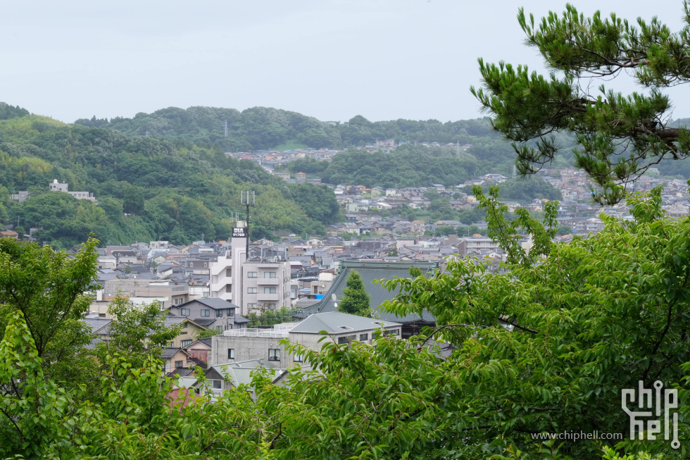 DSC00515-min-min.JPG