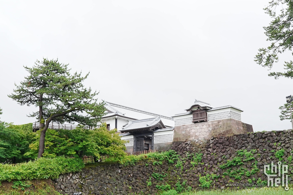 DSC00527-min-min.JPG
