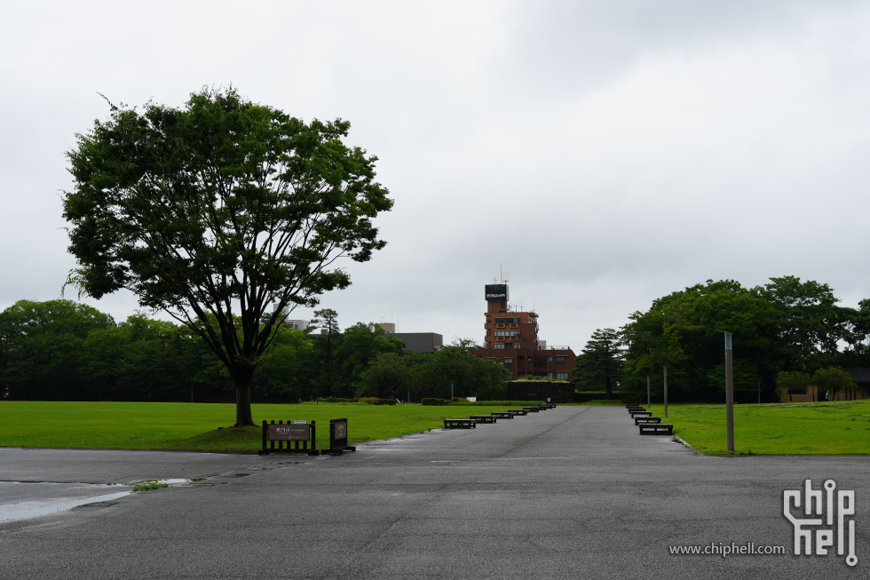 DSC00531-min-min.JPG