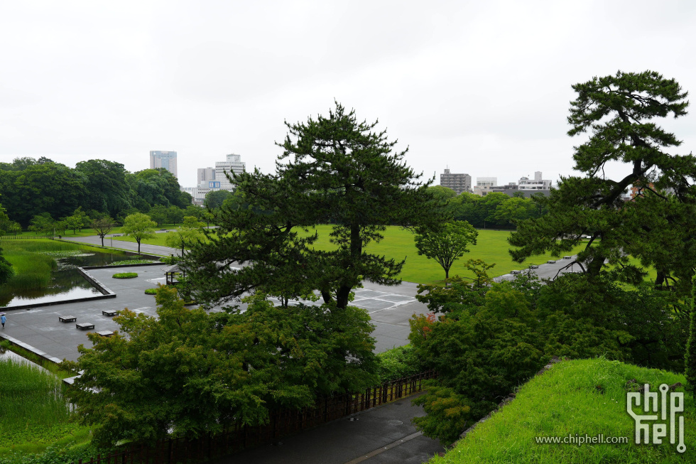 DSC00549-min-min.JPG