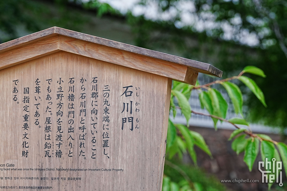 DSC00578-min.JPG