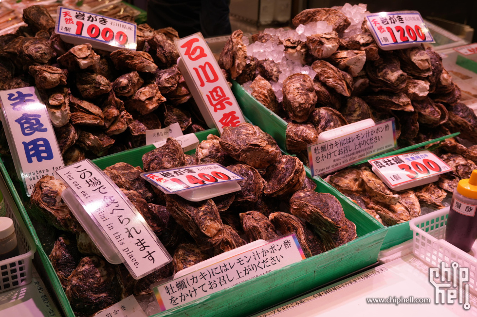 DSC00417-min.JPG